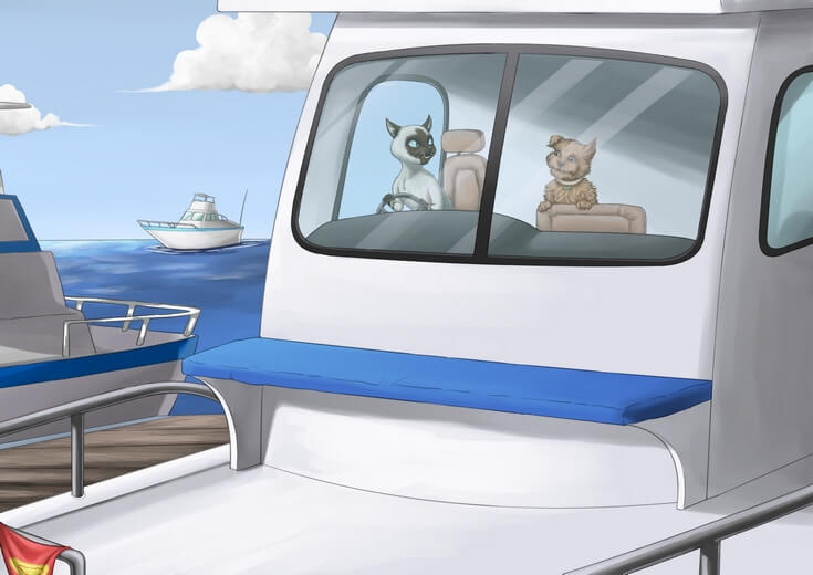 A cat teaching a dog how to steer a ship.