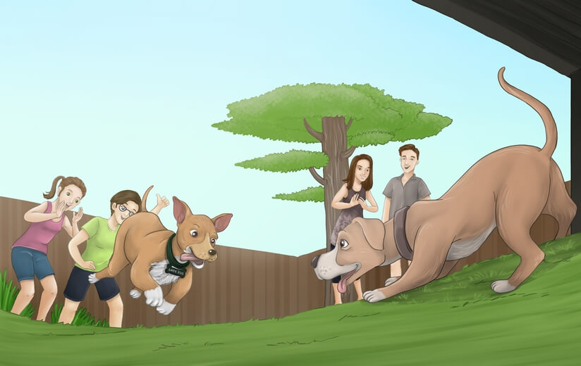 Two dogs playing in a backyard with their owners observing.