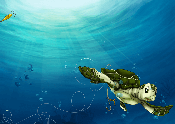 A sea turtle entangled in discarded fishing line.