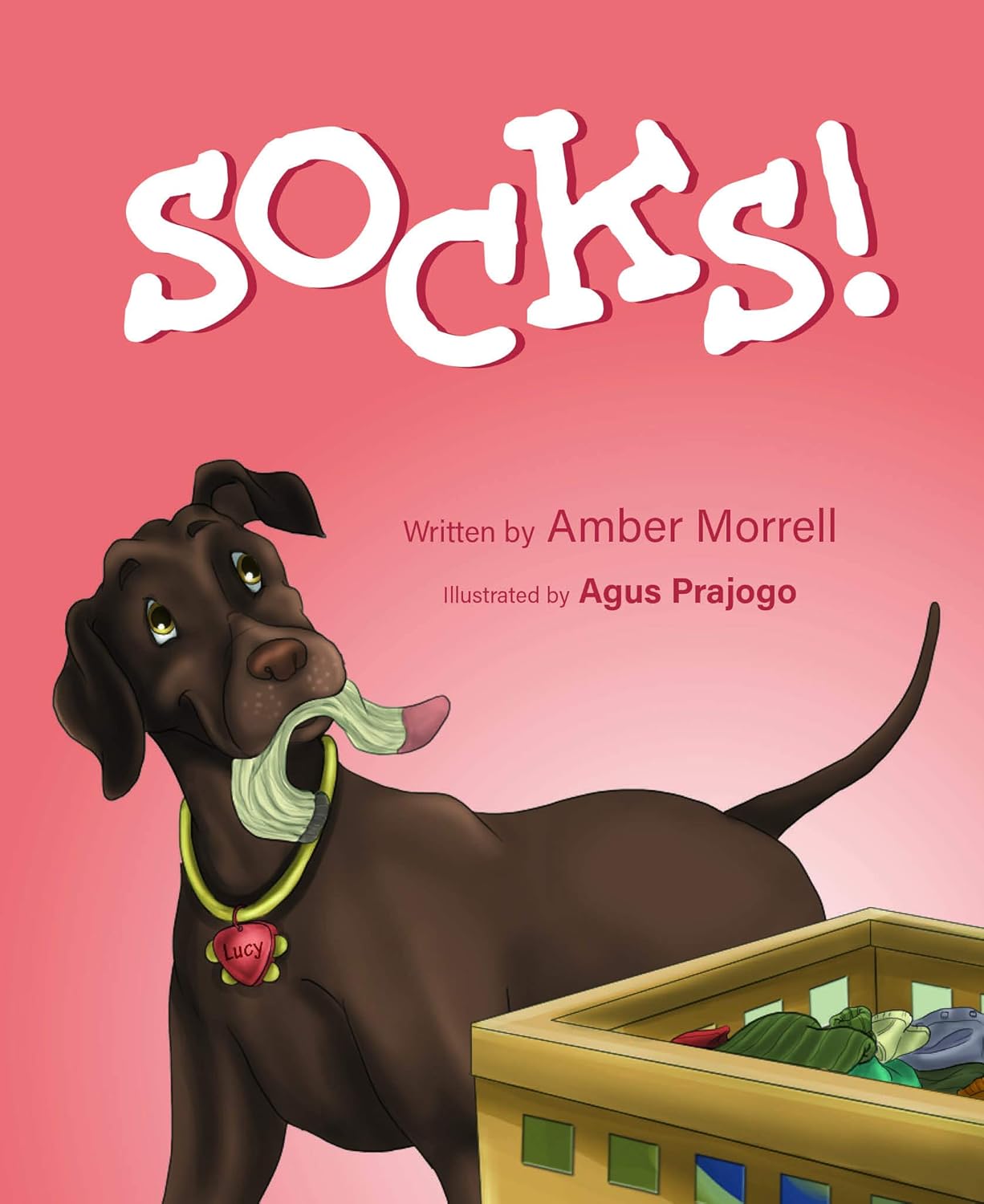 Cover of Socks! children's book.