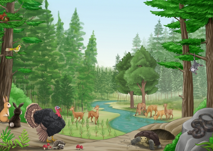 Forest scene with diverse animals amidst trees of different growth stages.