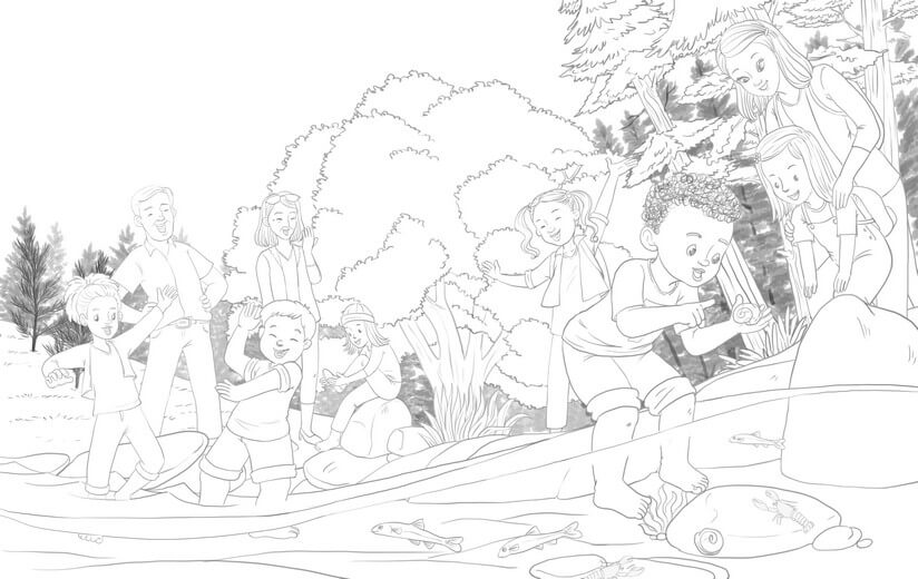 Clean line art incorporating the author's feedback on tree species and wildlife, submitted for a second approval before color work begins.
