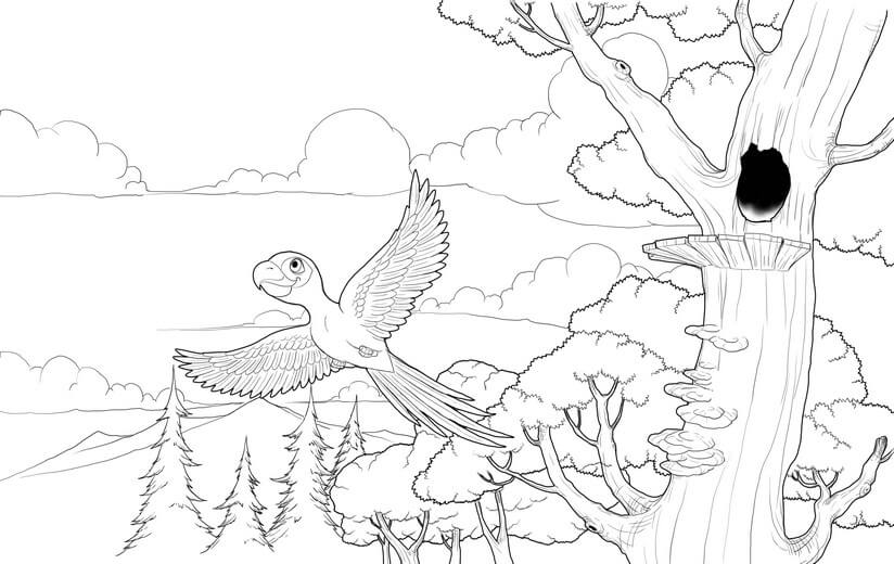 Clean line art incorporating the author's feedback, submitted for a second approval before color begins.